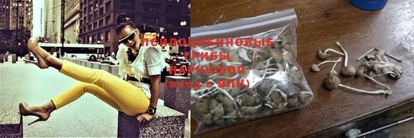 дмт Кукмор